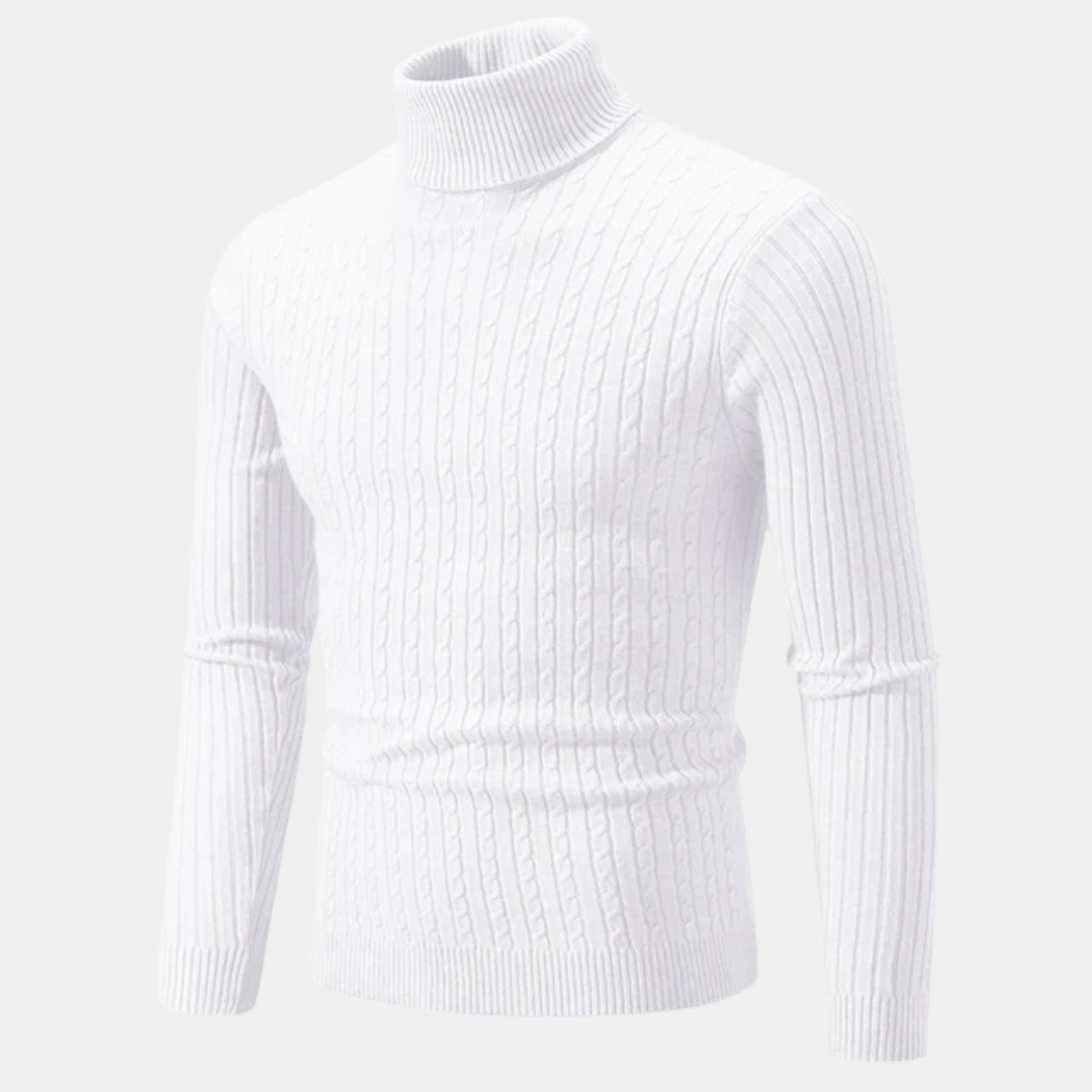 Willara | Men's Slim Fit Turtleneck Sweater