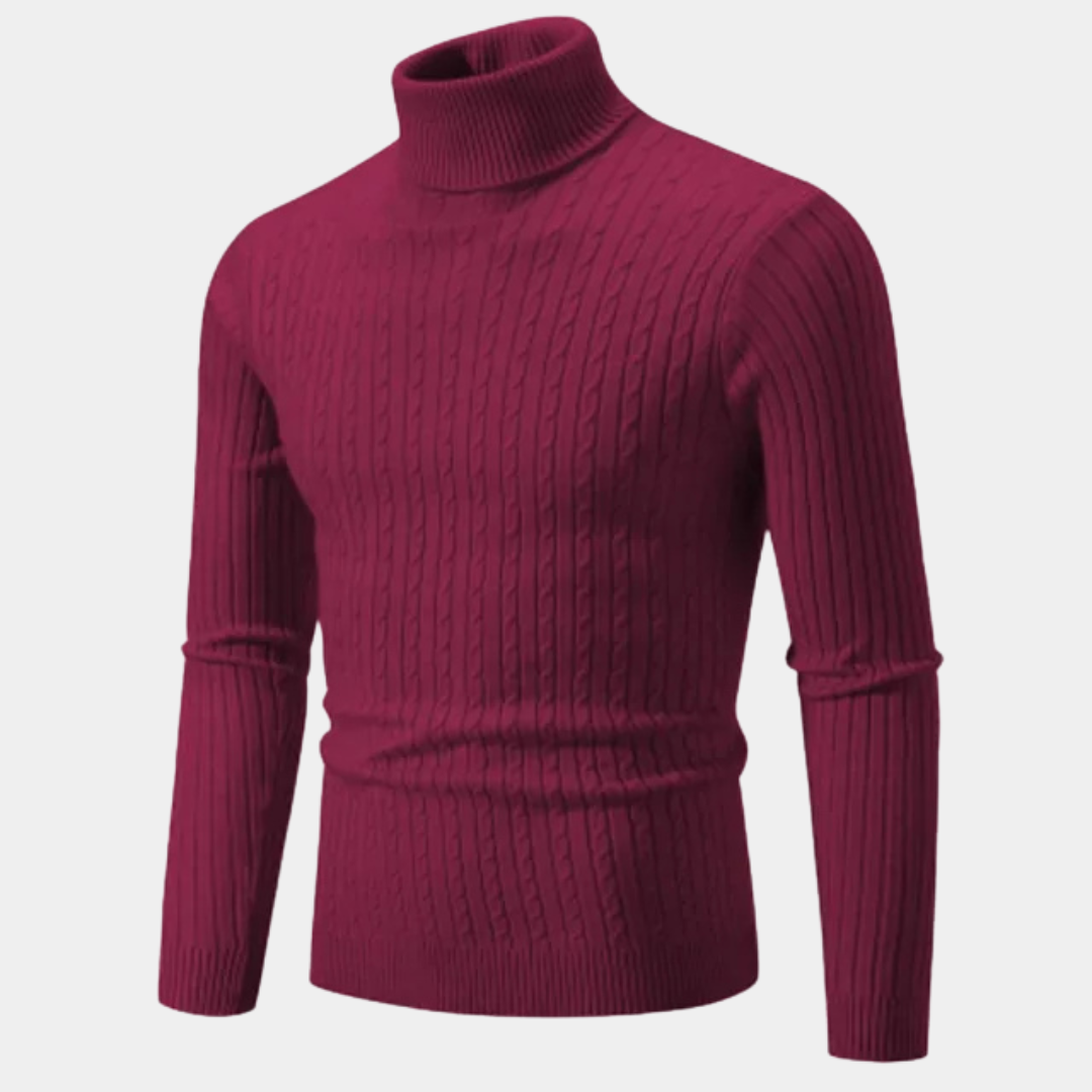 Willara | Men's Slim Fit Turtleneck Sweater