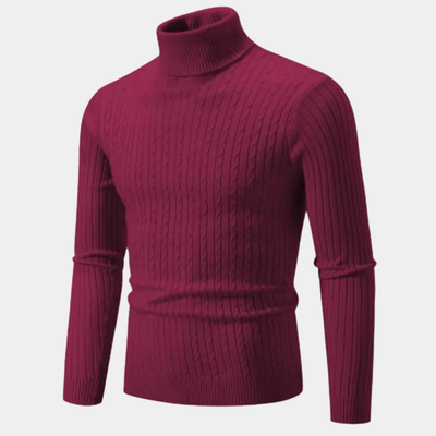 Willara | Men's Slim Fit Turtleneck Sweater